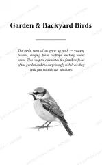 Page 7 of The Penumbrex Book of Birds