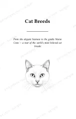 Page 7 of The Penumbrex Book of Cats
