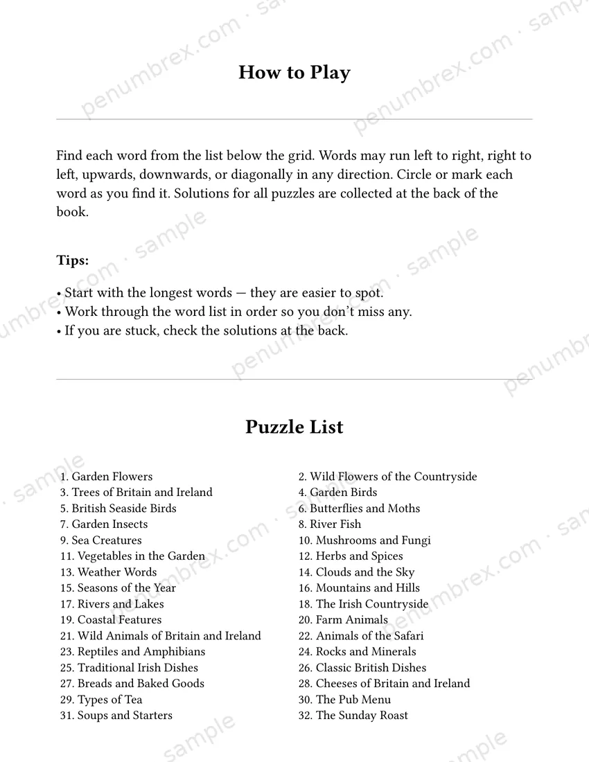 Page 3 of The Penumbrex Book of Large Print Word Search — Volume 1