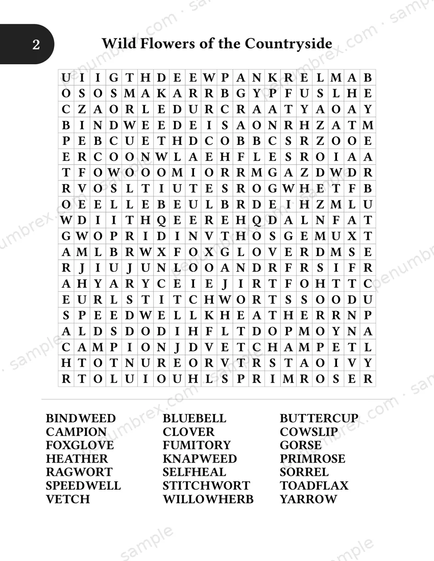 Page 8 of The Penumbrex Book of Large Print Word Search — Volume 1