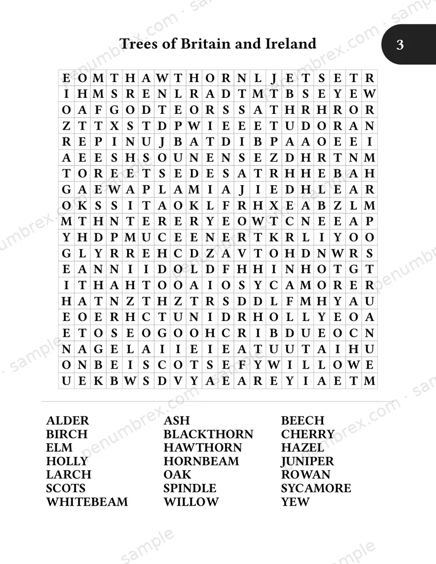 Page 9 of The Penumbrex Book of Large Print Word Search — Volume 1