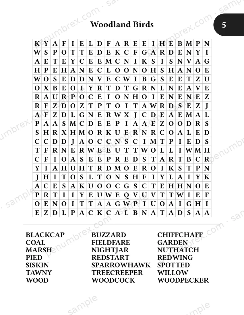 Page 11 of The Penumbrex Book of Large Print Word Search — Volume 2