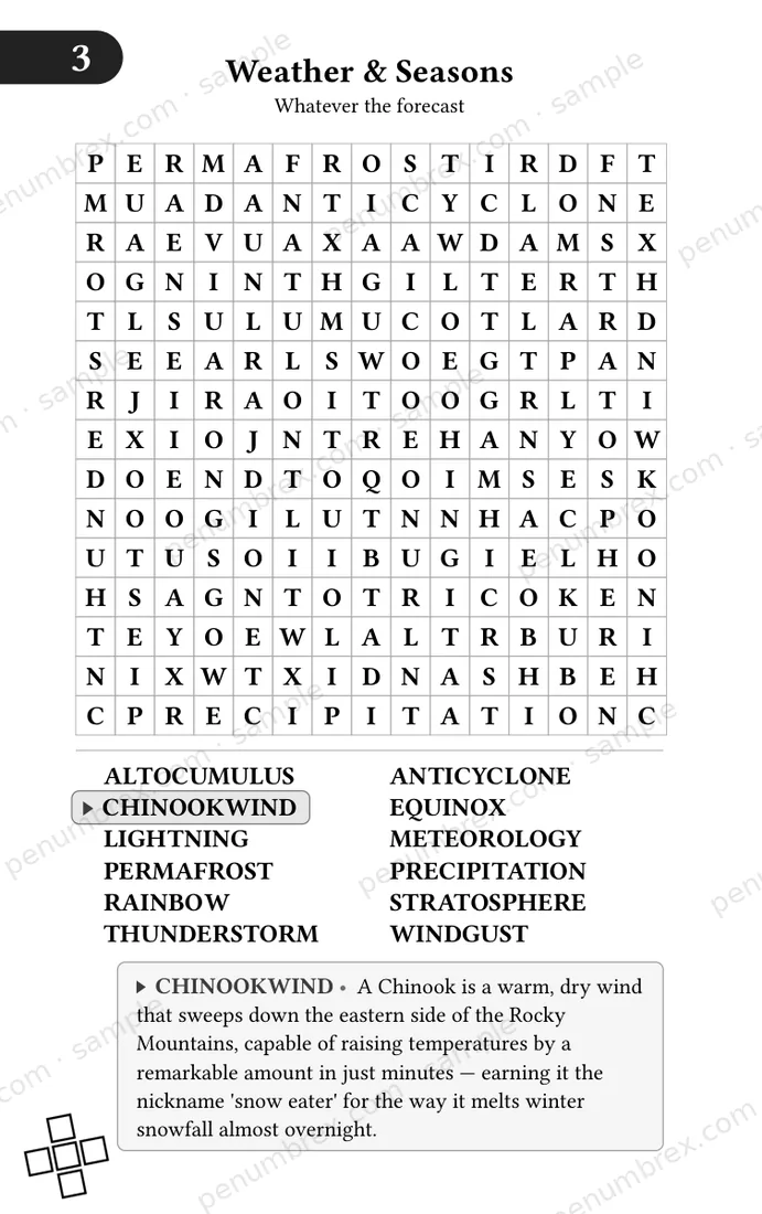 Page 8 of Mini Penumbrex #1 — The World Around Us — Word Search