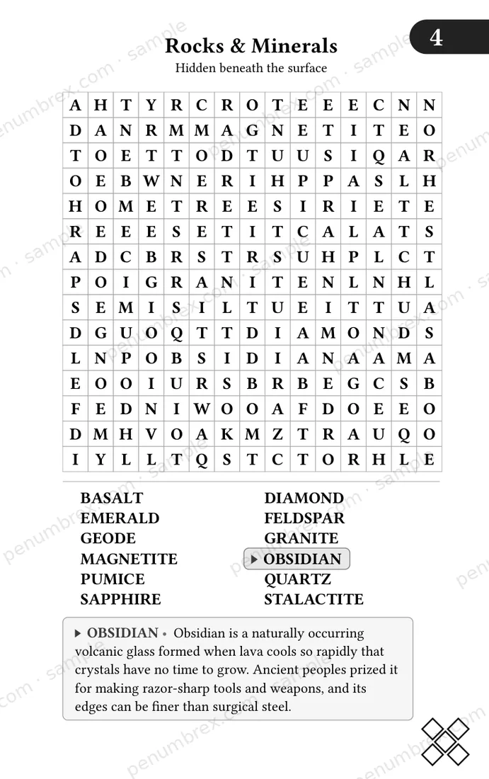 Page 9 of Mini Penumbrex #1 — The World Around Us — Word Search