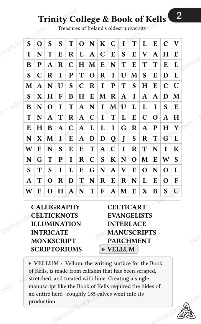 Page 7 of Mini Penumbrex #2 — Ireland: The Emerald Isle — Word Search