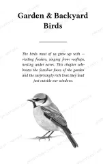 Page 5 of Mini Penumbrex #5 — Birds — Word Search