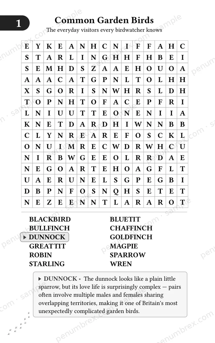 Page 6 of Mini Penumbrex #5 — Birds — Word Search
