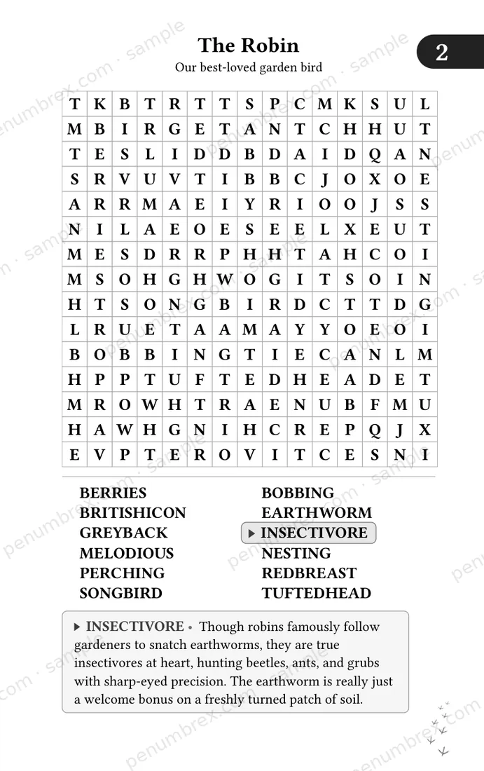 Page 7 of Mini Penumbrex #5 — Birds — Word Search