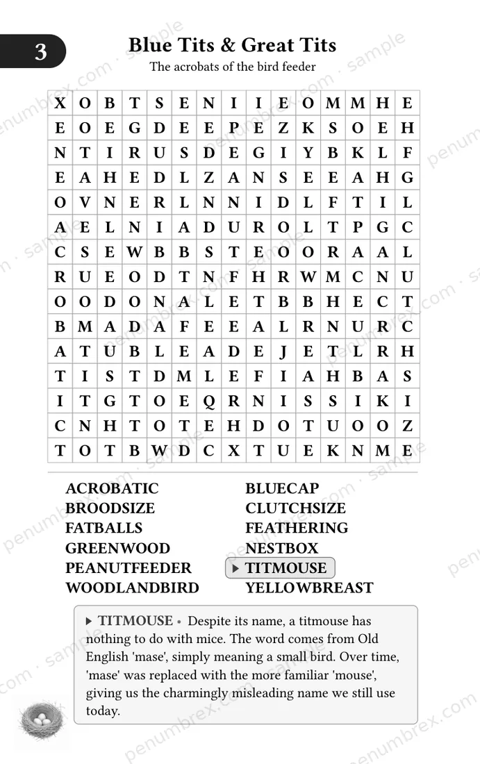 Page 8 of Mini Penumbrex #5 — Birds — Word Search